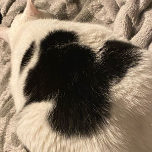 Atif Aslam ( slowed + reverb )