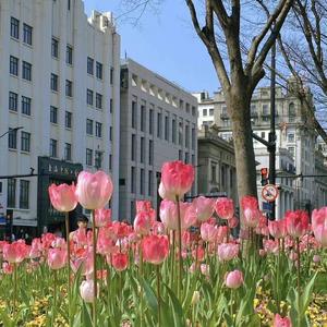 暴风雨(就是哈比伴奏版）