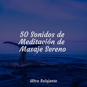 Dormir Profundo, Totalmente Relajado