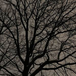 Begging for Love from Those Who Never Stay