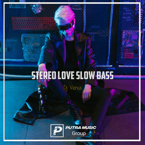Stereo Love Slow Bass (Remix)