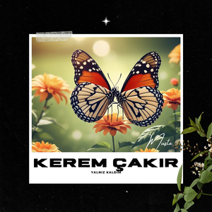 Gecenin Karanlık Yüzü