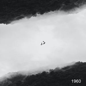 1960