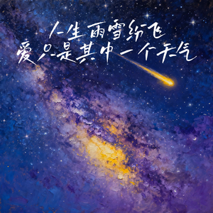 人生雨雪纷飞，爱只是其中一个天气 (我们像两艘错过的船只)