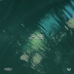 The Looking (Extended Mix)