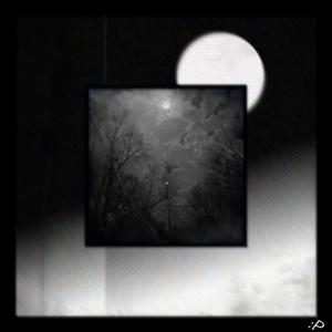 I Know What You Said