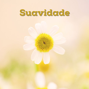Suavidade