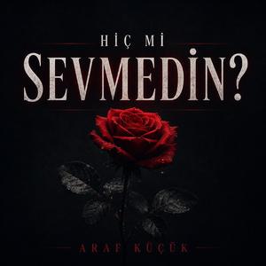 Hiç mi Sevmedin?