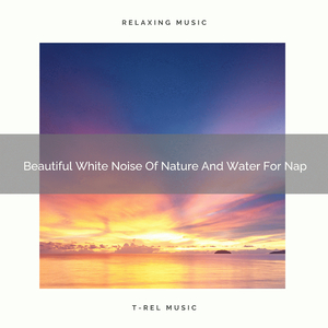 Beautiful White Noise Of Waves And Woods For Deep Relaxation