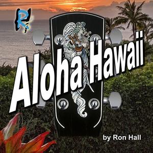 Aloha Hawaii