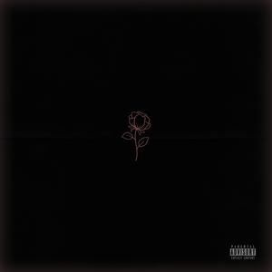 25 HRS