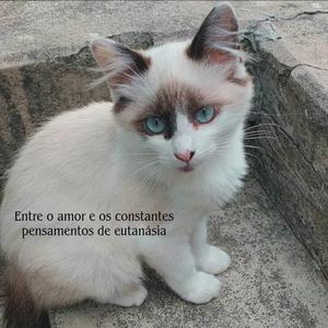 Intoner nº i