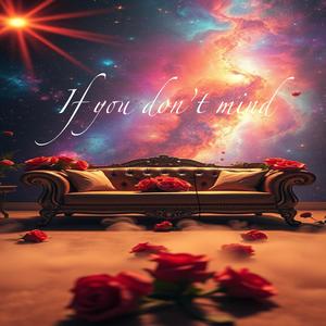 If you dont mind