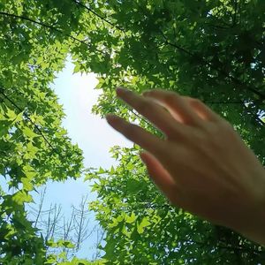 宠坏（拜拜生气就说拜拜1.2x）