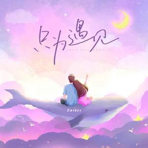 只为遇见（像花遇见树天空遇见云）