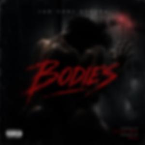 Bodies