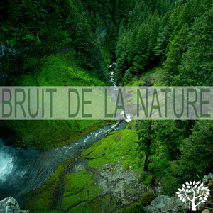 Bruit De La Nature