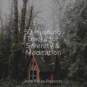 Secret Languorous Melody