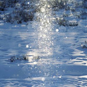 蜗牛爬过青铜像