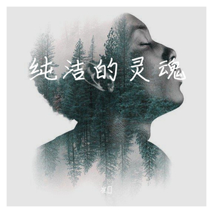 纯洁的灵魂 伴奏