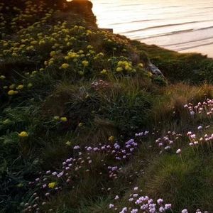 朴树-平凡之路（我感觉我 remix）