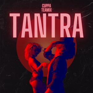 Tantra (feat. Cuppa Teamix) (House Funk Version)