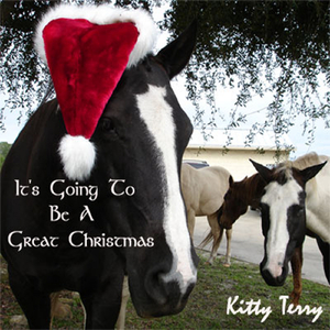 It's Going To Be A Great Christmas