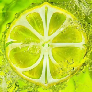 Lemonade(预告版)