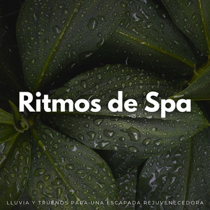 Ritmos De Lluvia Para Evadirse
