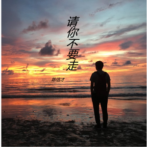 请你不要走