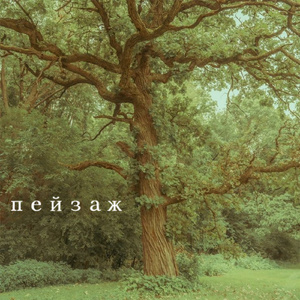 если я