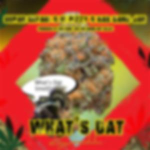 What's That Smell (feat. Supah Defari, V.I Pizzy & Ras Dane Jah)