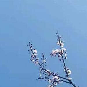 给你们（翻自 张宇）