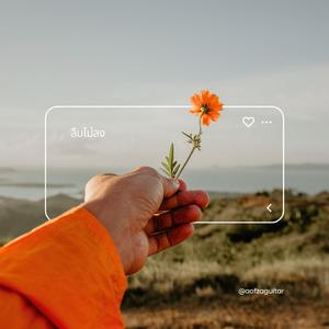 ลืมไม่ลง