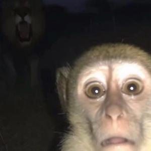 Sticky (feat. Jay35 & 2sev)