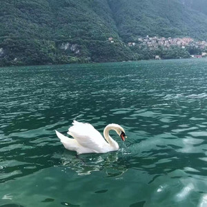 I'll Do It（Sadieze remix）