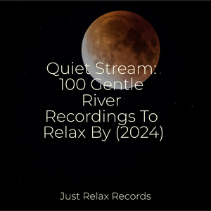 Mist Shrouded Melancholy Duets