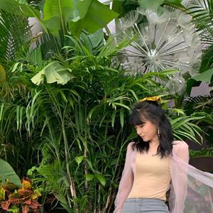 飘洋过海来看你