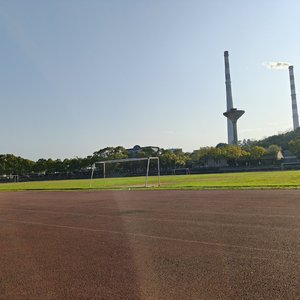 祝你我有数不尽的鲜花与浪漫