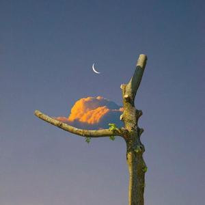 潮汐（翻自 IN-K/安苏羽/傅梦彤）