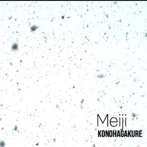 KONOHAGAKURE