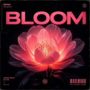 Bloom