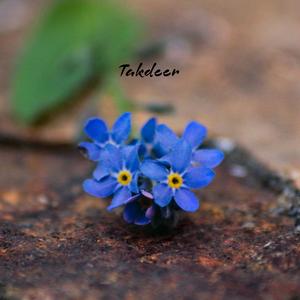 Badlega Ek Din Takdeer