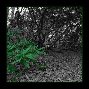 Monochrome (feat. zak1)