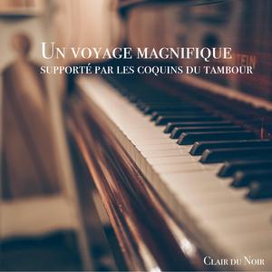 Un voyage magnifique (supporté par coquins du tambour)