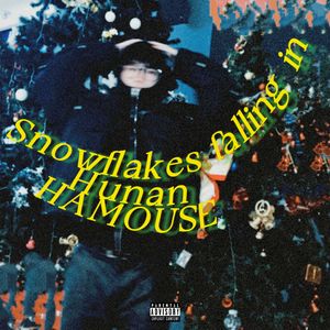 雪花飘落在湖南