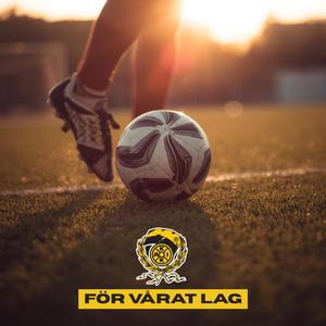 För vårat lag (feat. Viktor Nordström & Linnéasimmet)
