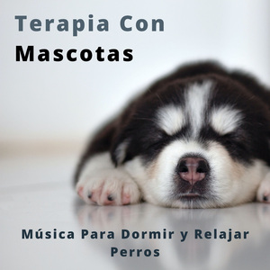 Tiempo Para Mascotas