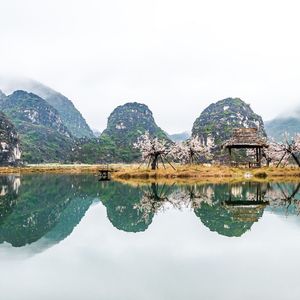 Peach blossom dock桃花坞里桃花庵·国风唯美意境钢琴曲