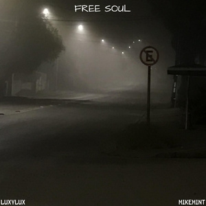 Free Soul (Remix)